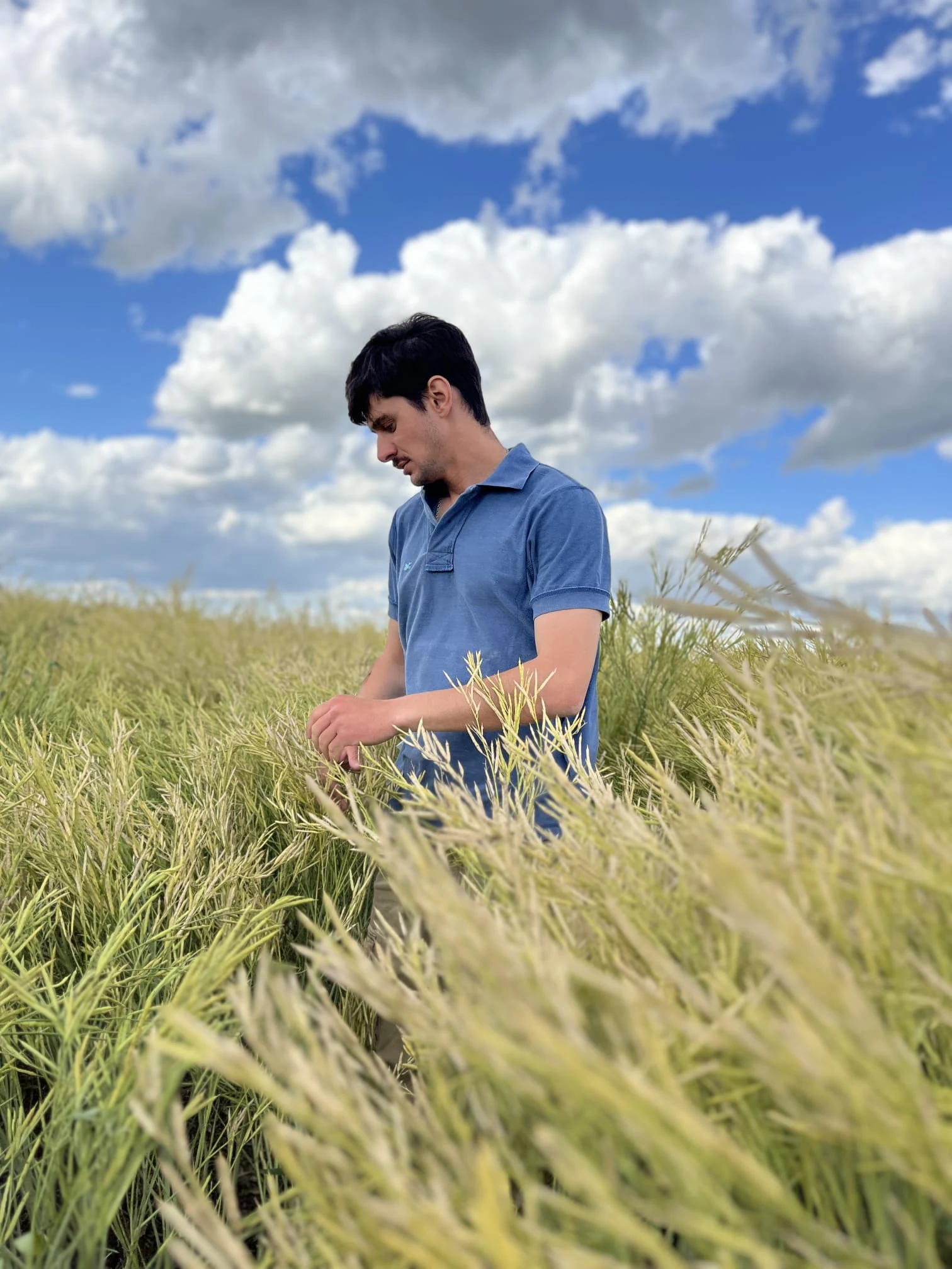 Recorrida a pie entre un cultivo del establecimiento