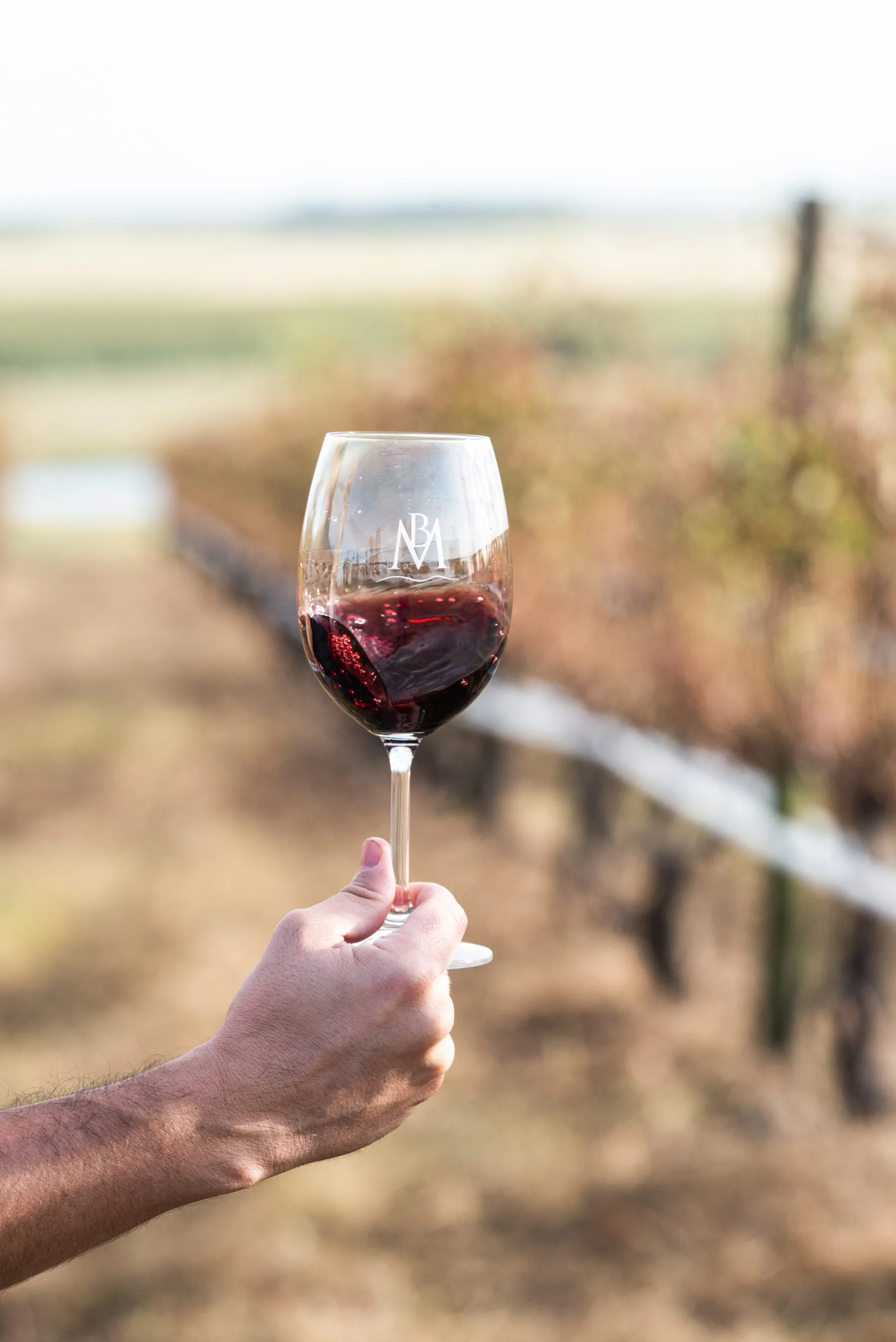 Copa de vino Barras de Mahoma frente al viñedo