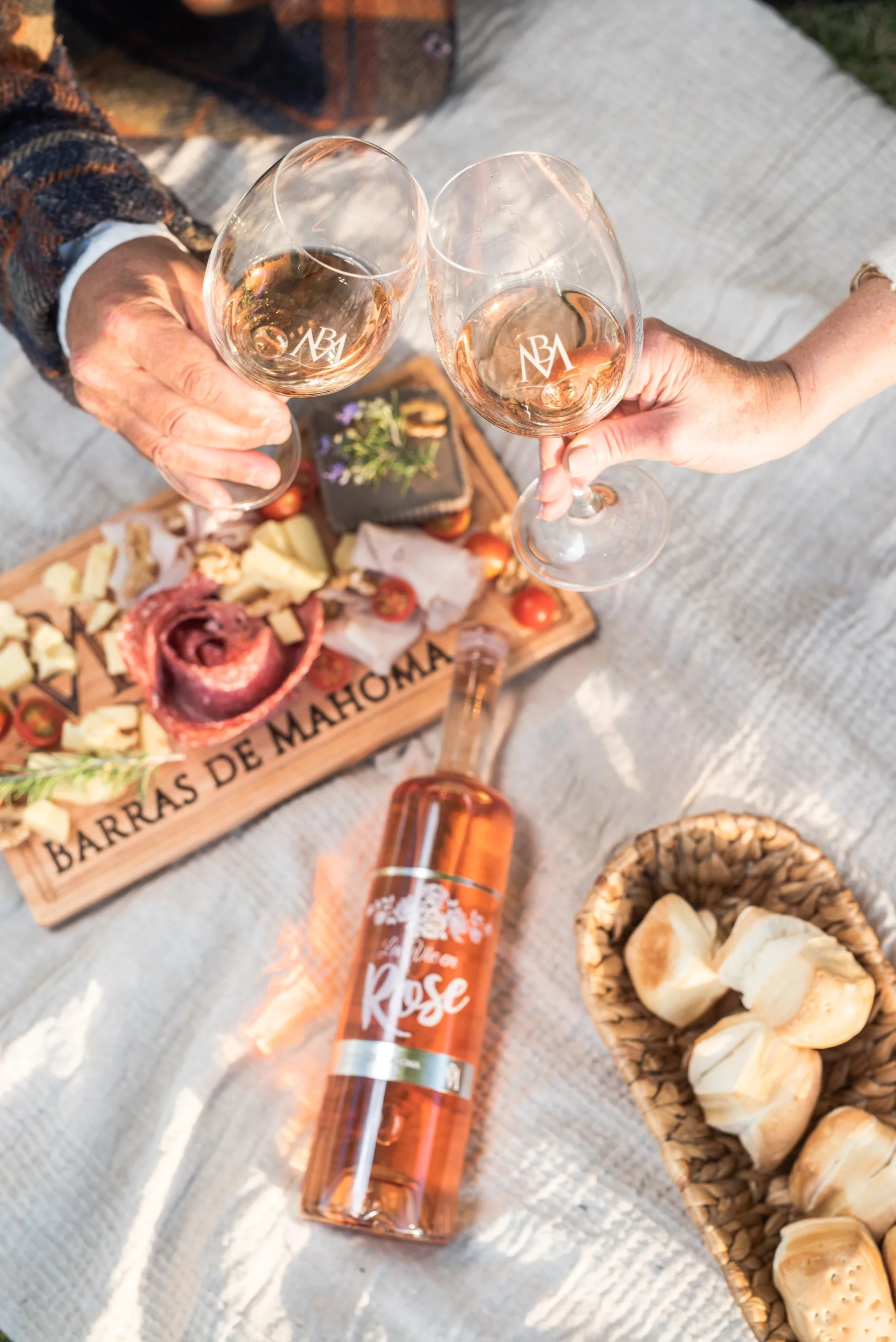 Brindis al aire libre entre viñedos