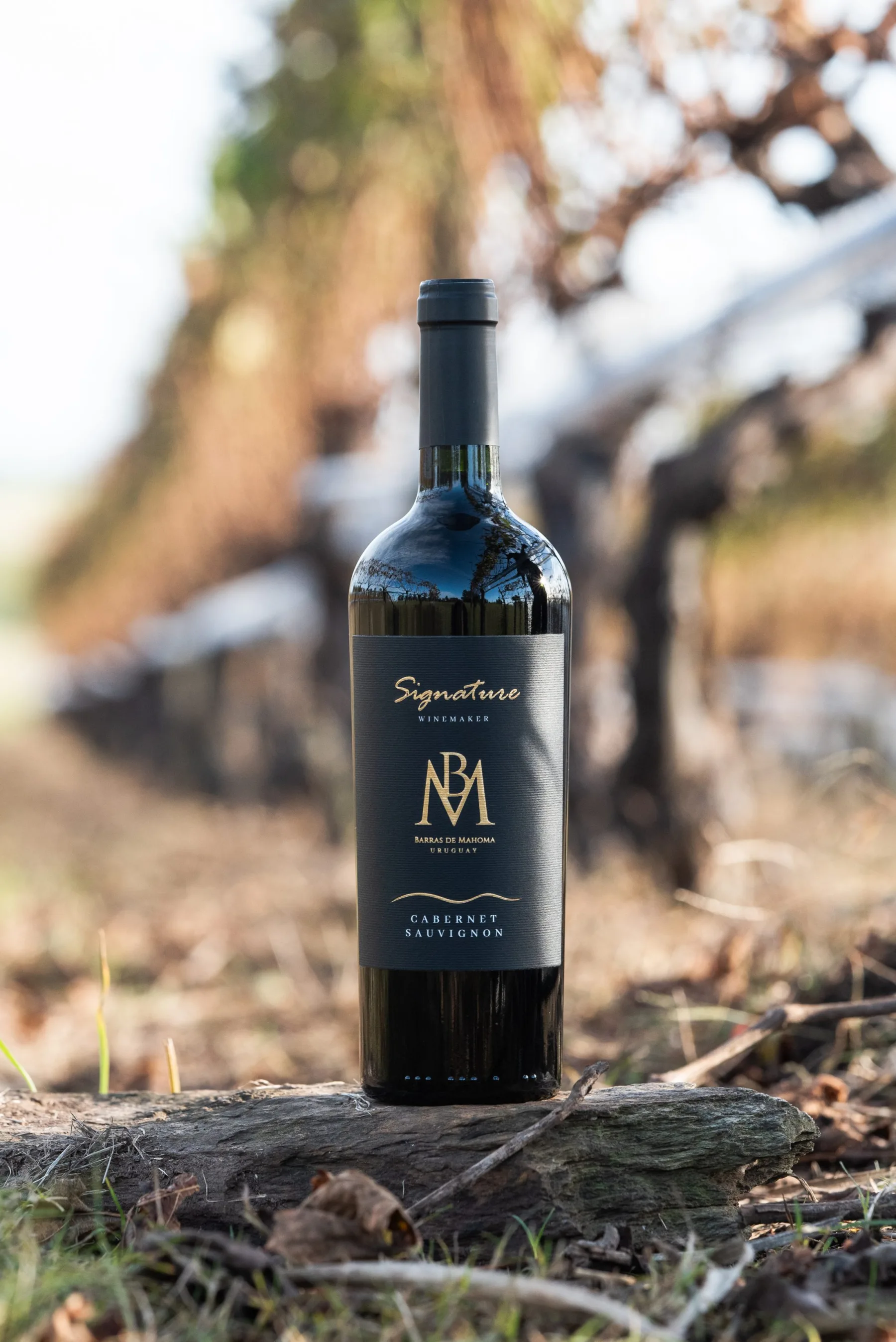 Botella Signature Winemaker entre las filas del viñedo